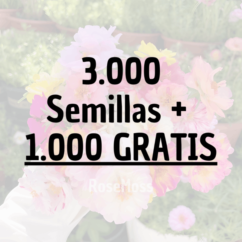 RoseMoss: Semillas de Rosa Inmortal