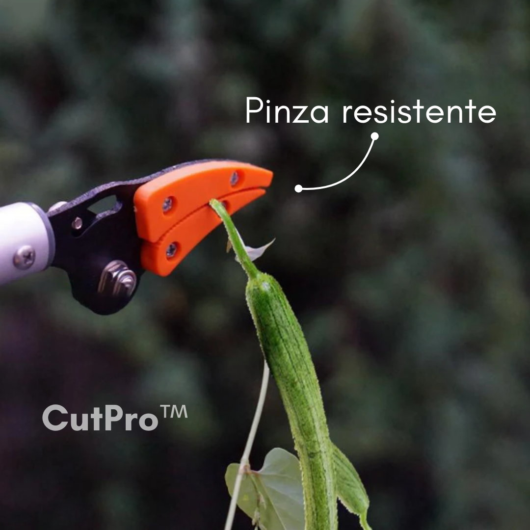 CUTPRO: PODADORA DE LARGO ALCANCE