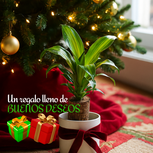 ChristmasTree: Planta de madera navideña de la suerte