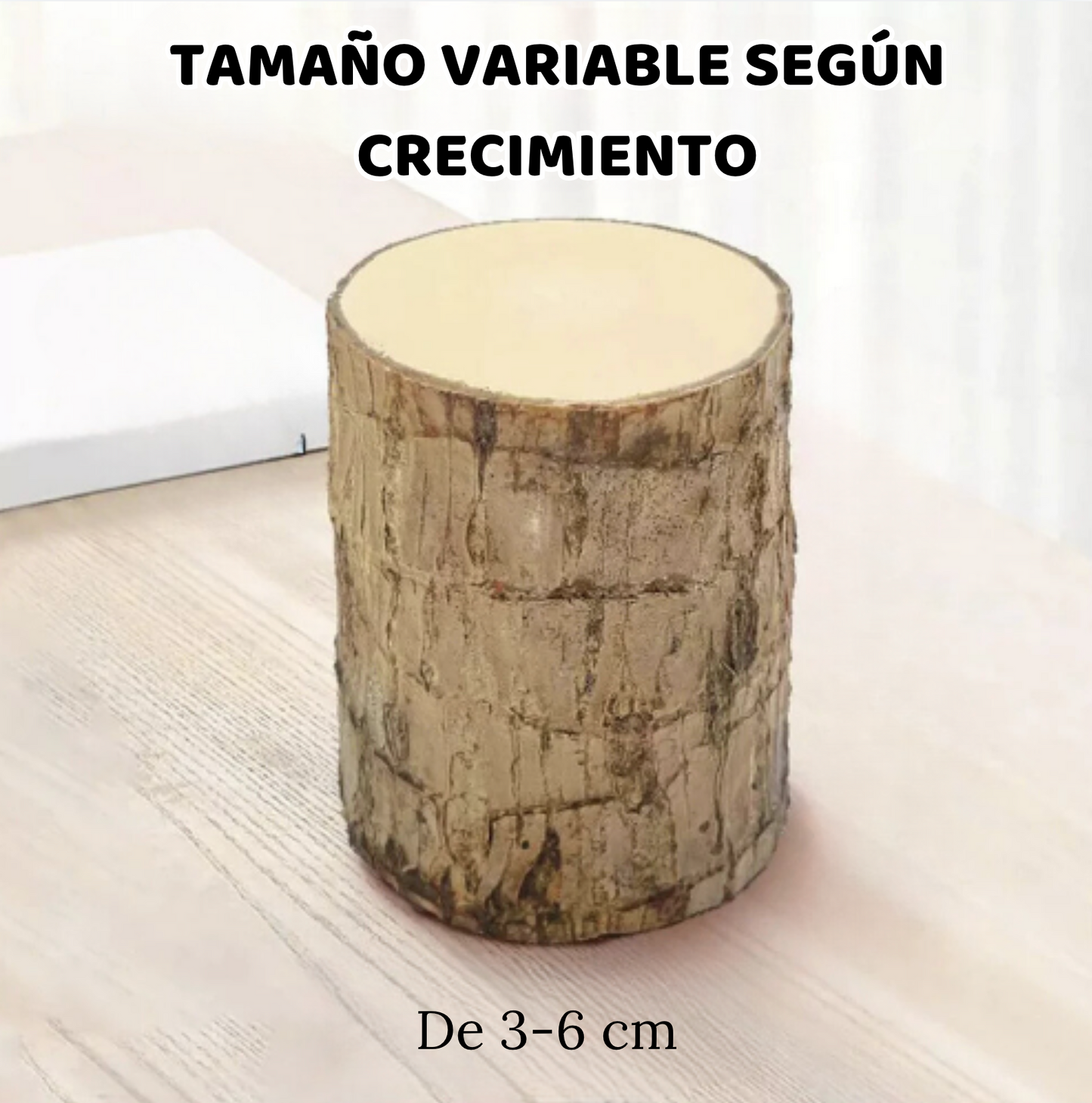 LuckyTree: Planta de madera Brasileña de la fortuna